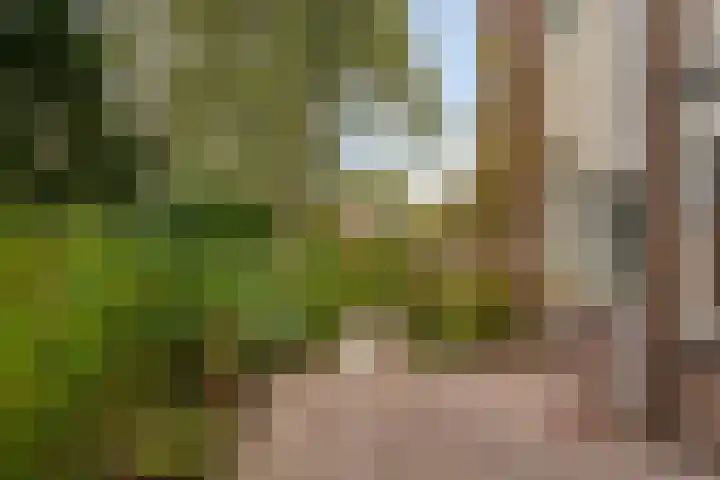 Onyx 24 Heerhugowaard thumbnail 5
