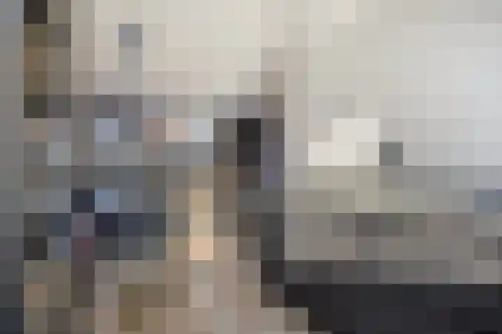 Onyx 6 Zevenbergen thumbnail 12