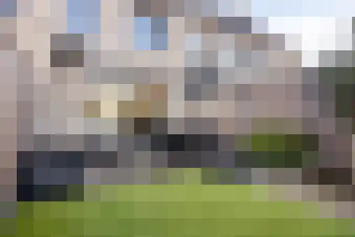 Onyx 6 Zevenbergen thumbnail 23