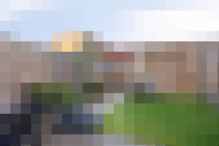 Onyx 6 Zevenbergen thumbnail 24