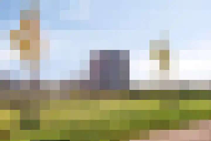 Onyx 6 Zevenbergen thumbnail 4