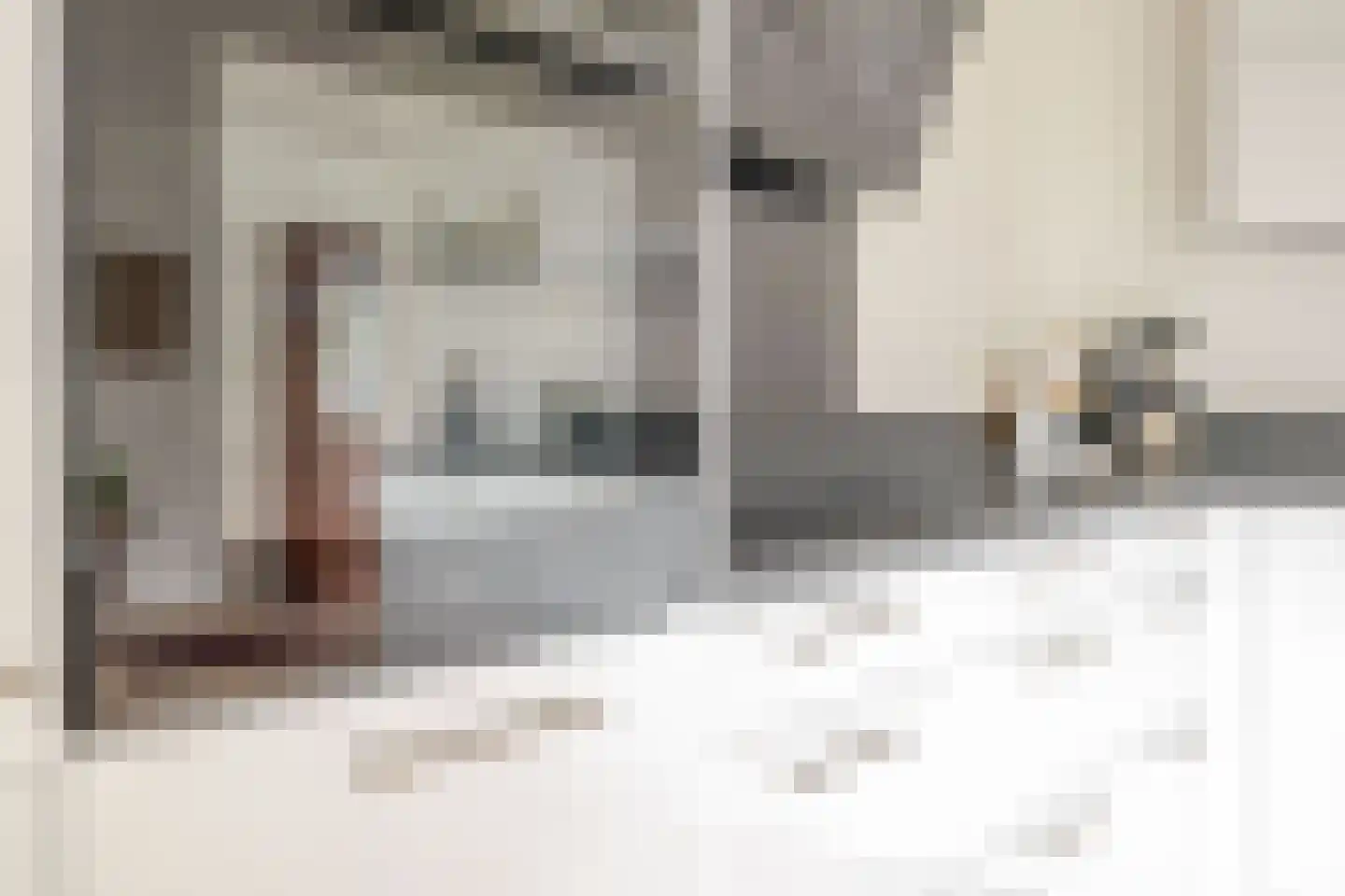 Onyxdreef 5 Emmen thumbnail 14