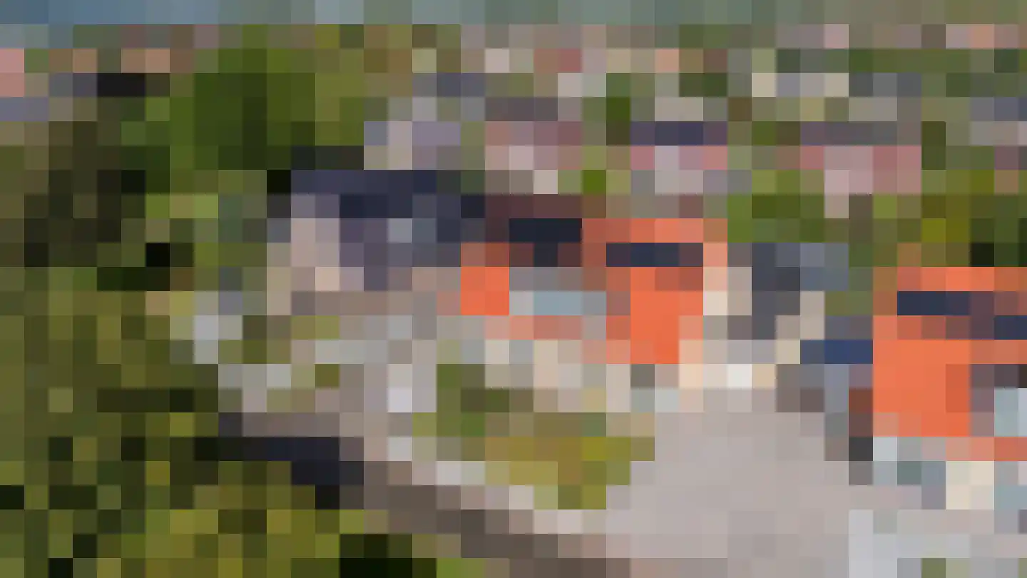 Onyxdreef 5 Emmen thumbnail 39