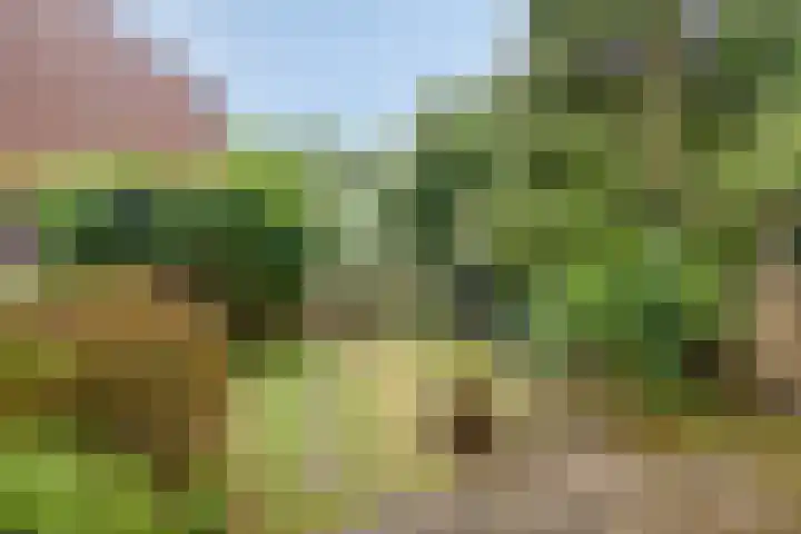Onyxhof 15 IJsselstein thumbnail 16