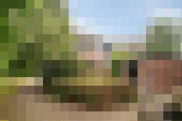 Onyxhof 15 IJsselstein thumbnail 31