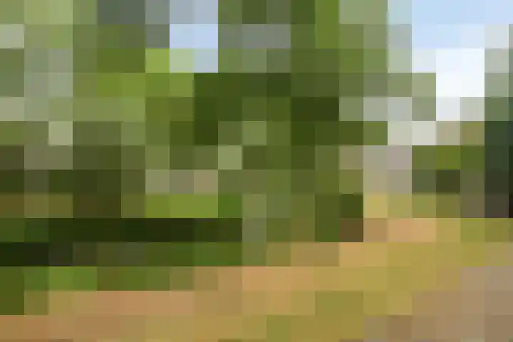 Onyxhof 15 IJsselstein thumbnail 36