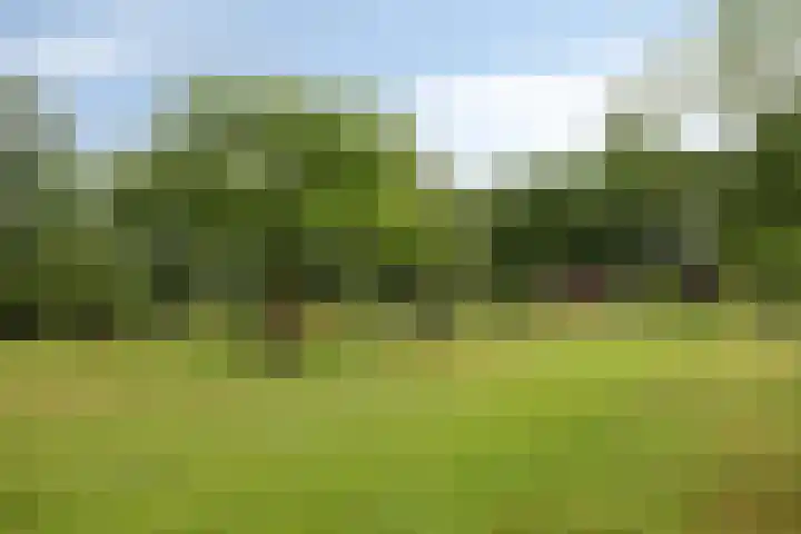 Onyxhof 15 IJsselstein thumbnail 37