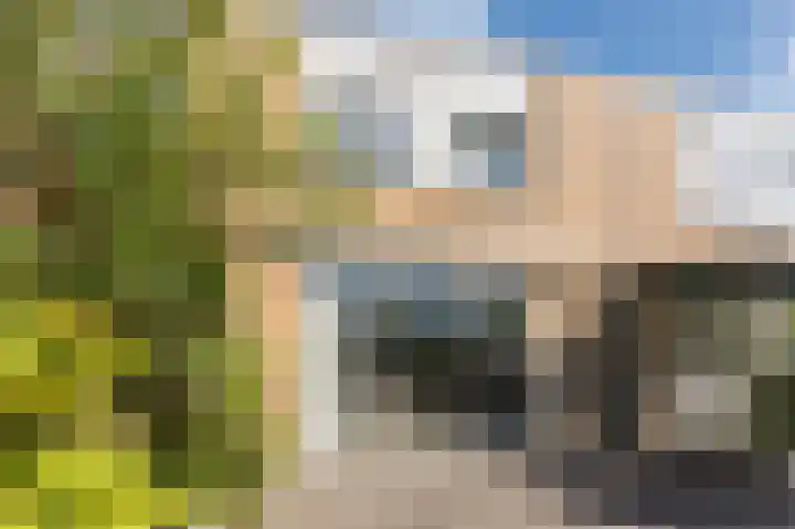 Onyxhorst 57 Den Haag thumbnail 41