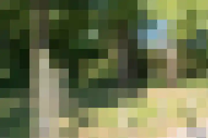 Onyxhorst 57 Den Haag thumbnail 44