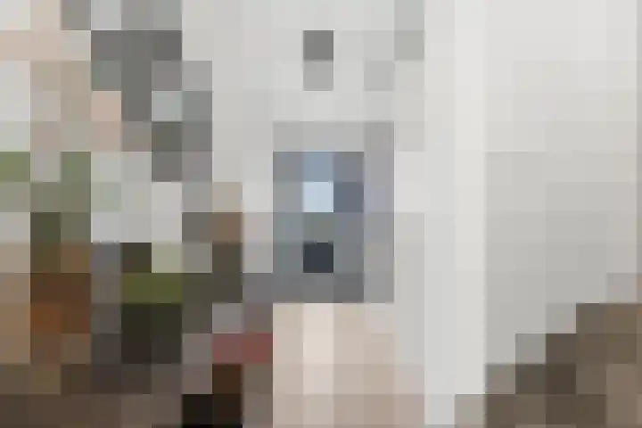 Onyxlaan 137 Rhoon thumbnail 14