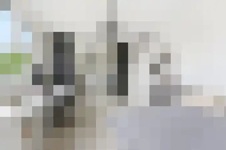 Onyxlaan 137 Rhoon thumbnail 16