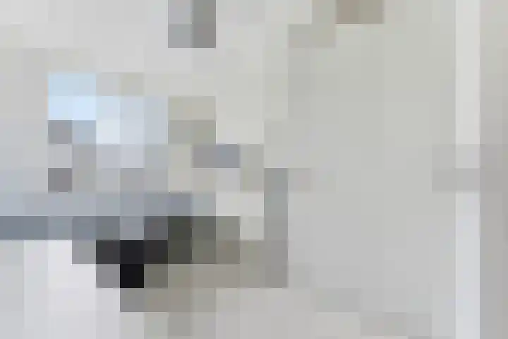 Onyxlaan 137 Rhoon thumbnail 17