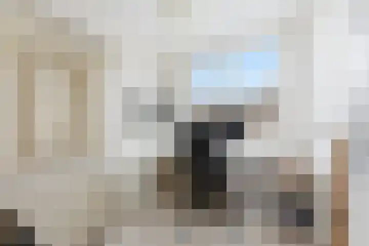Onyxlaan 137 Rhoon thumbnail 19