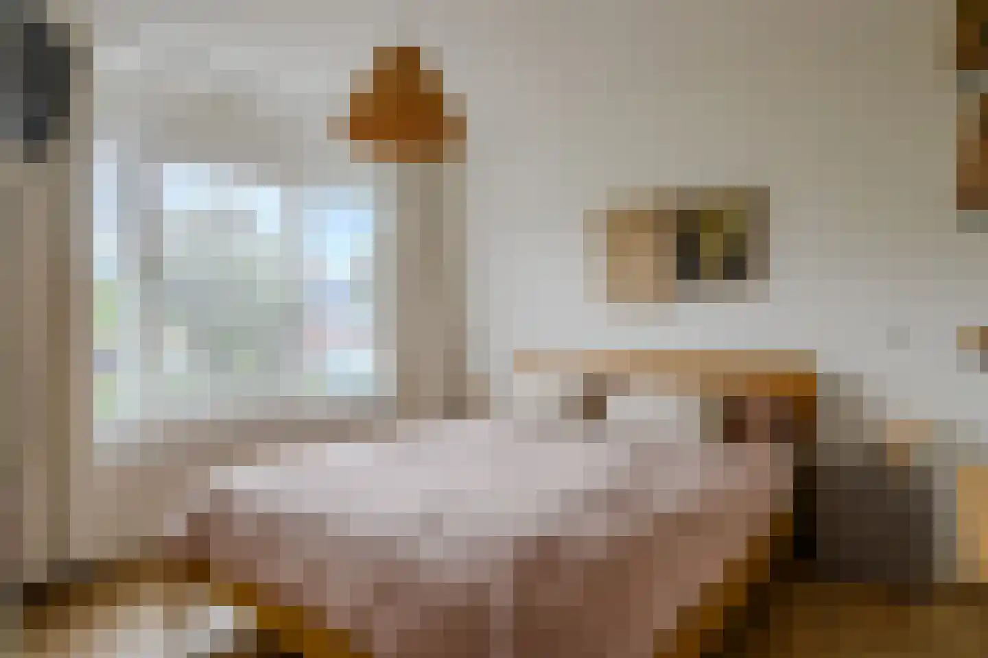 Onyxstraat 2 Nijmegen thumbnail 22