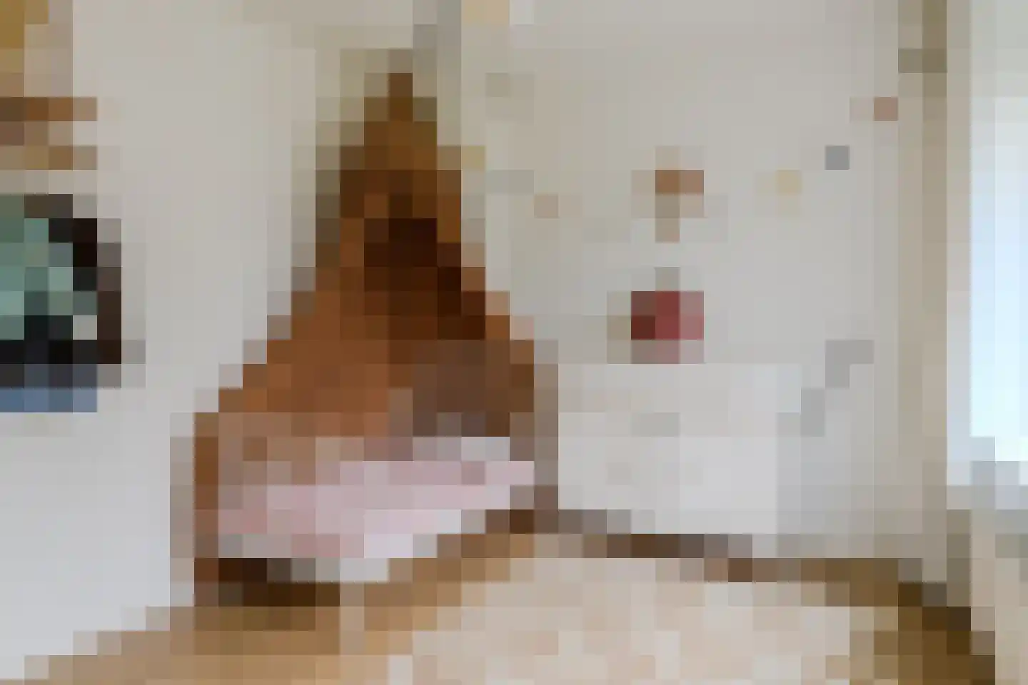 Onyxstraat 2 Nijmegen thumbnail 26