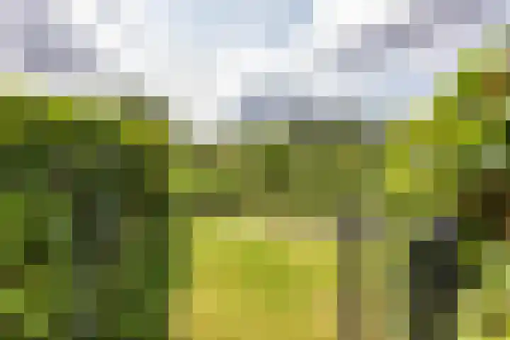 Onyxstraat 20 Groningen thumbnail 22