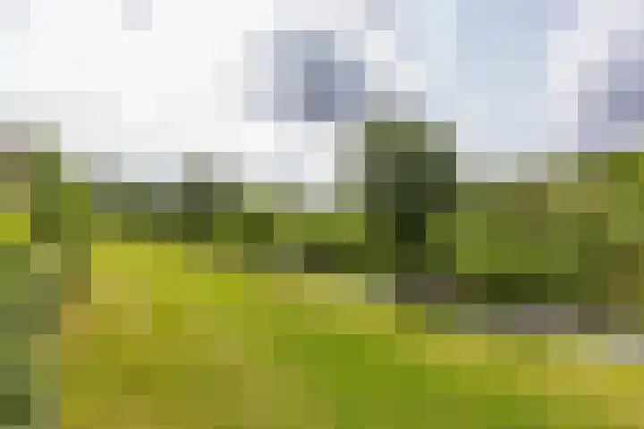 Onyxstraat 20 Groningen thumbnail 23