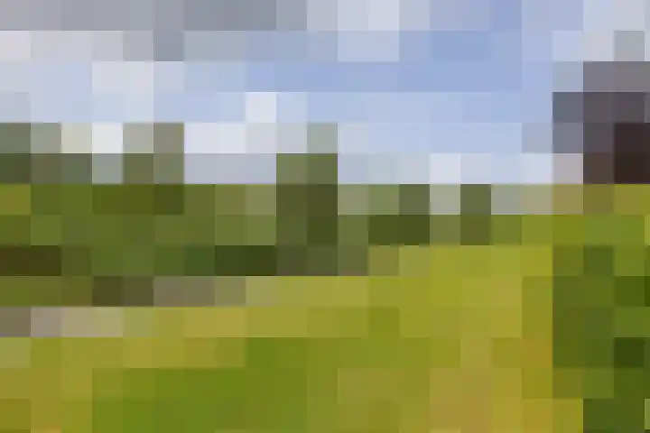 Onyxstraat 20 Groningen thumbnail 24