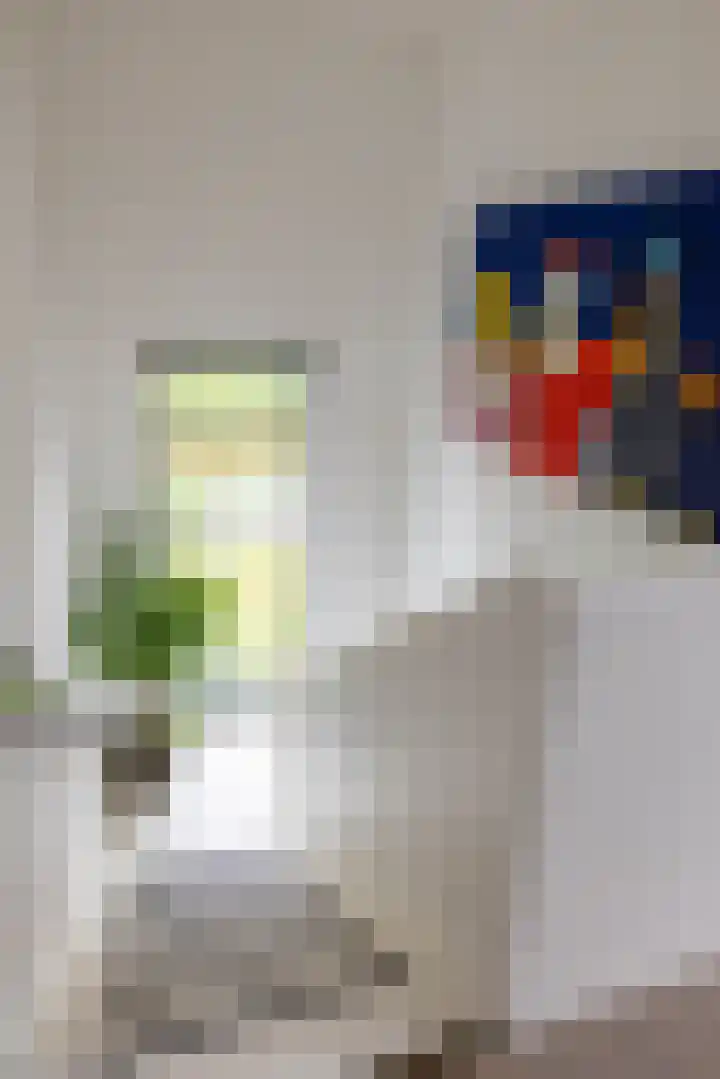 Onyxstraat 20 Groningen thumbnail 40