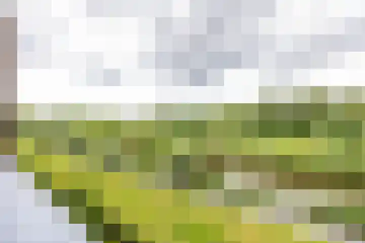 Onyxstraat 20 Groningen thumbnail 48
