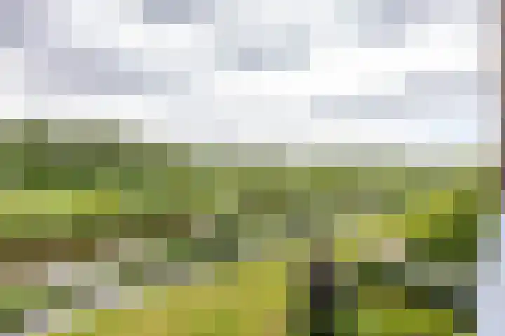 Onyxstraat 20 Groningen thumbnail 49
