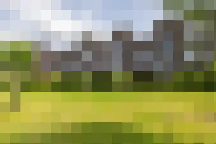 Onyxstraat 20 Groningen thumbnail 50