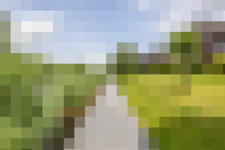 Onyxstraat 20 Groningen thumbnail 51