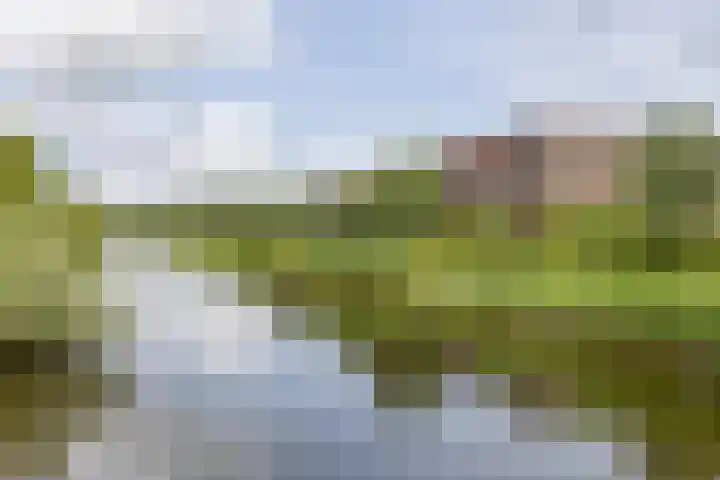 Onyxstraat 20 Groningen thumbnail 53