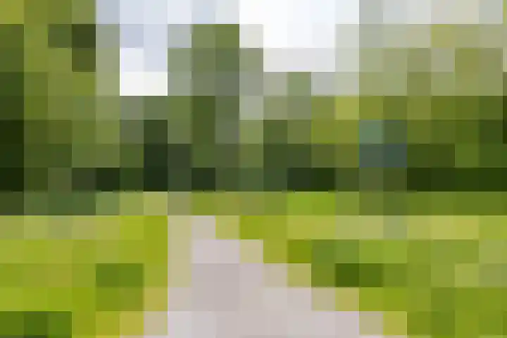 Onyxstraat 20 Groningen thumbnail 54