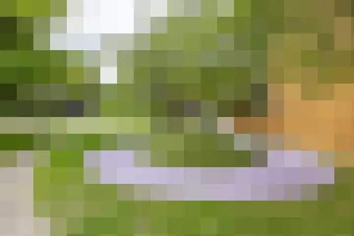 Onyxstraat 20 Groningen thumbnail 55