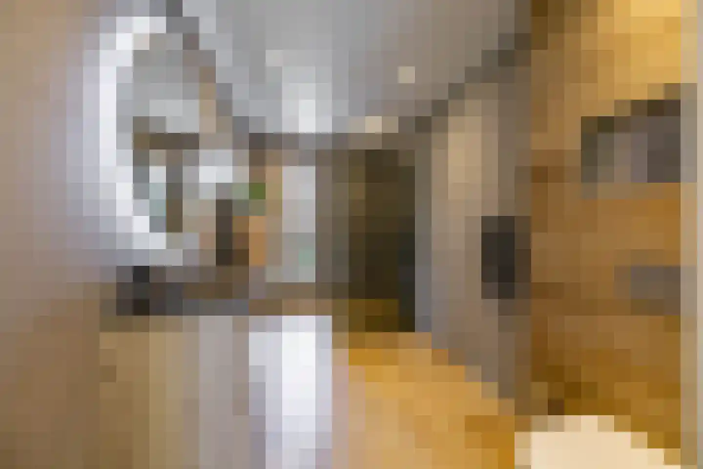 Onyxstraat 36 Groningen thumbnail 27