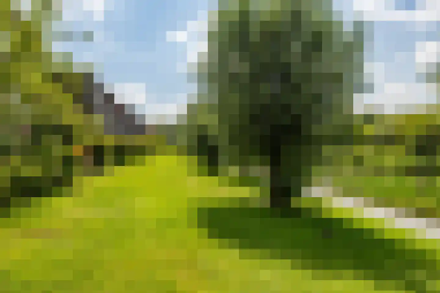 Onyxstraat 36 Groningen thumbnail 42