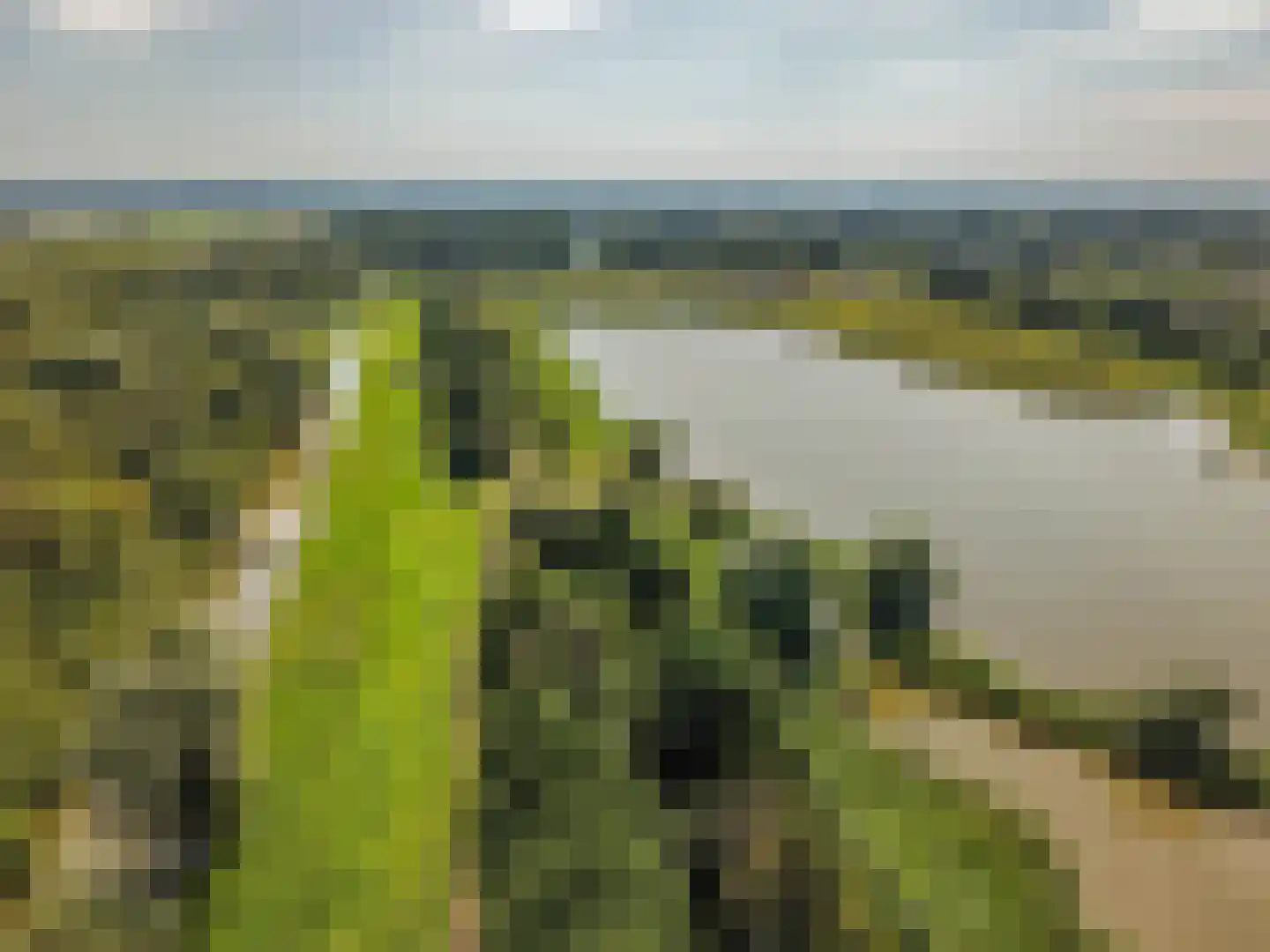 Onyxstraat 36 Groningen thumbnail 50