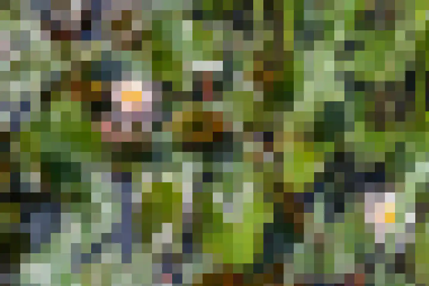 Onyxstraat 5 Groningen thumbnail 38
