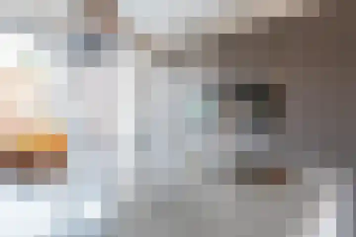 Onyxstraat 50 Groningen thumbnail 13