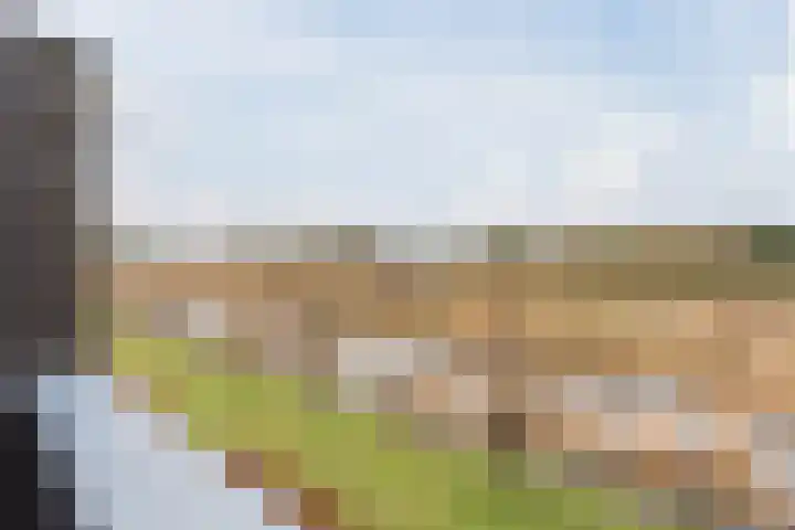 Onyxstraat 50 Groningen thumbnail 4