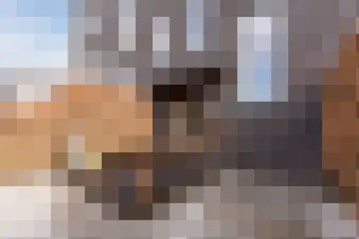 Onyxstraat 50 Groningen thumbnail 41