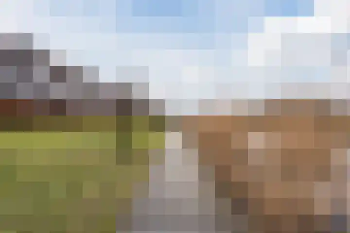 Onyxstraat 50 Groningen thumbnail 43
