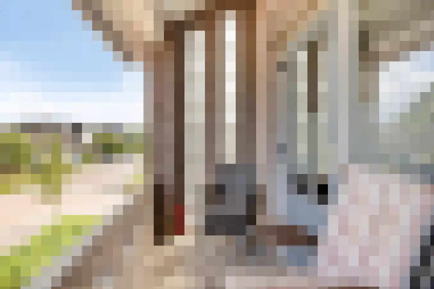Onze Lieve Vrouwedijk 11 Waalre thumbnail 24