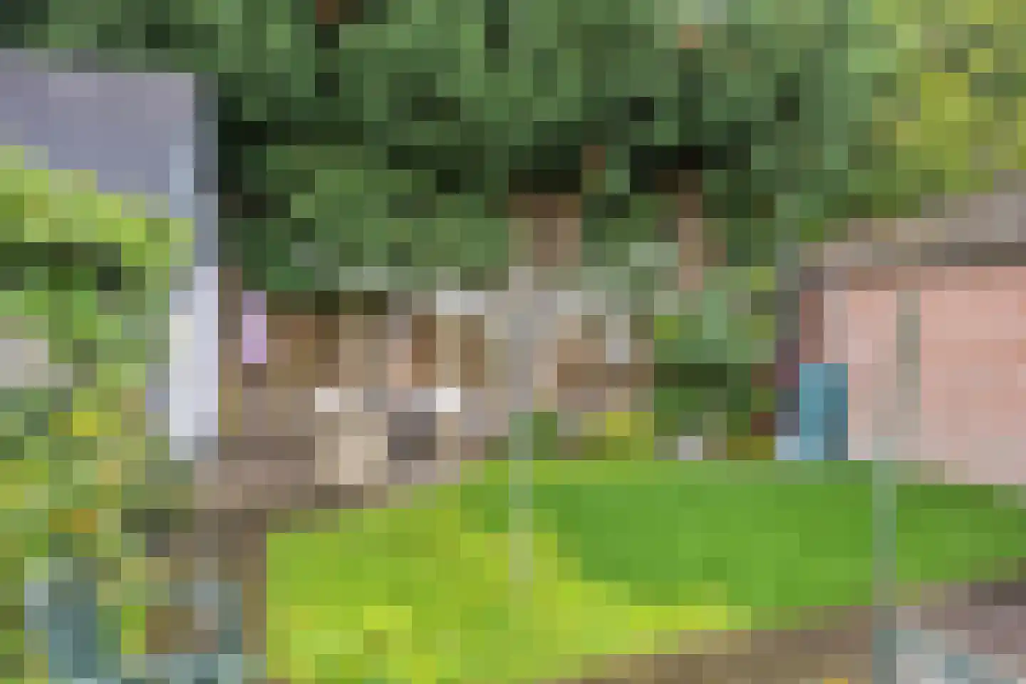 Onze Lieve Vrouwedijk 11 Waalre thumbnail 32