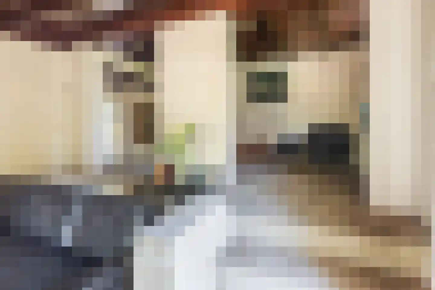 Onze Lieve Vrouwedijk 21 Waalre thumbnail 14