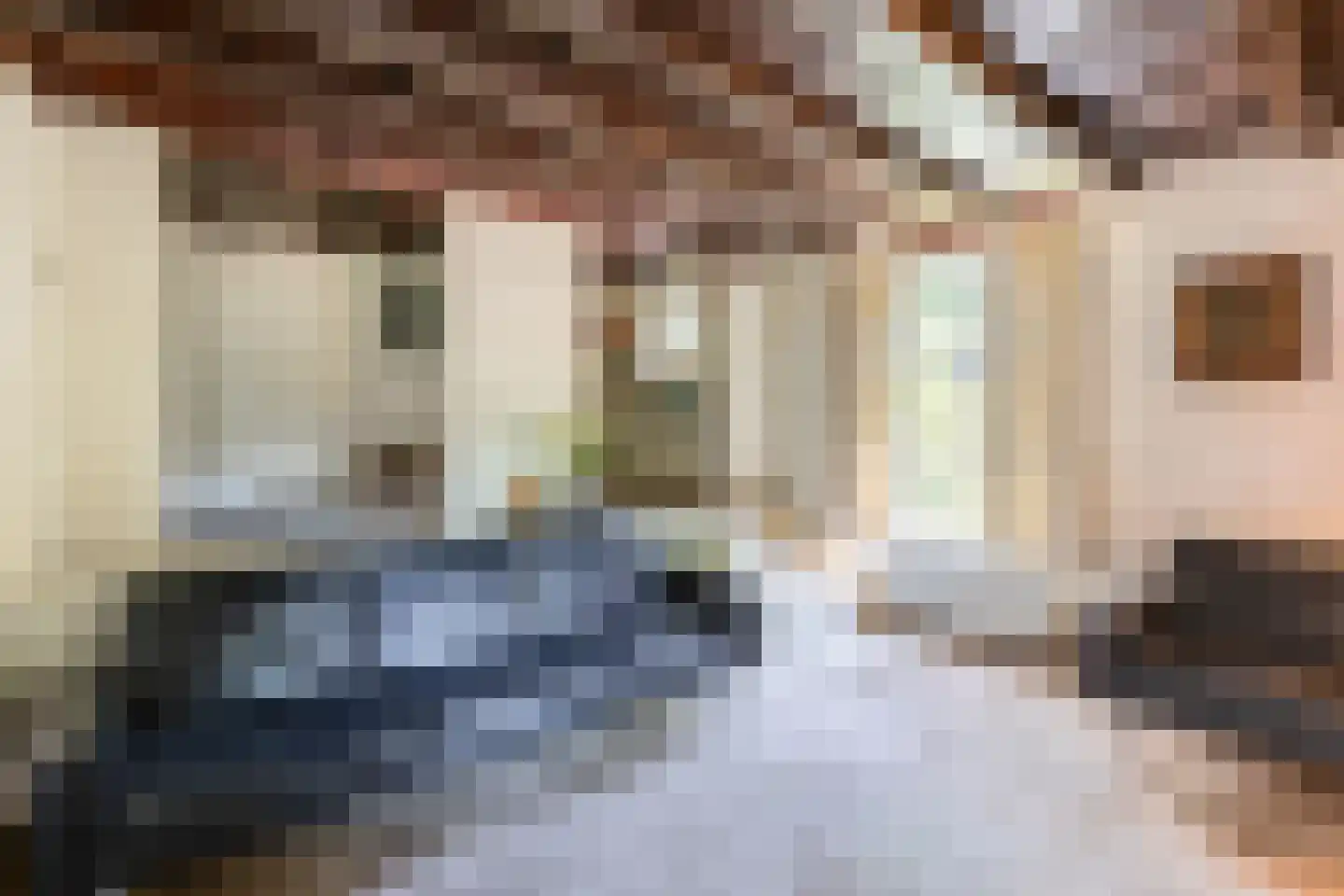 Onze Lieve Vrouwedijk 21 Waalre thumbnail 15