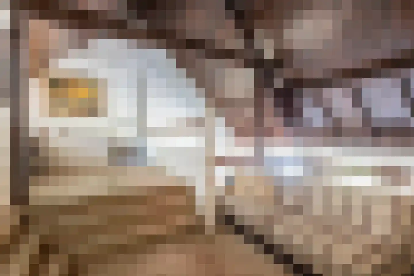 Onze Lieve Vrouwedijk 21 Waalre thumbnail 30