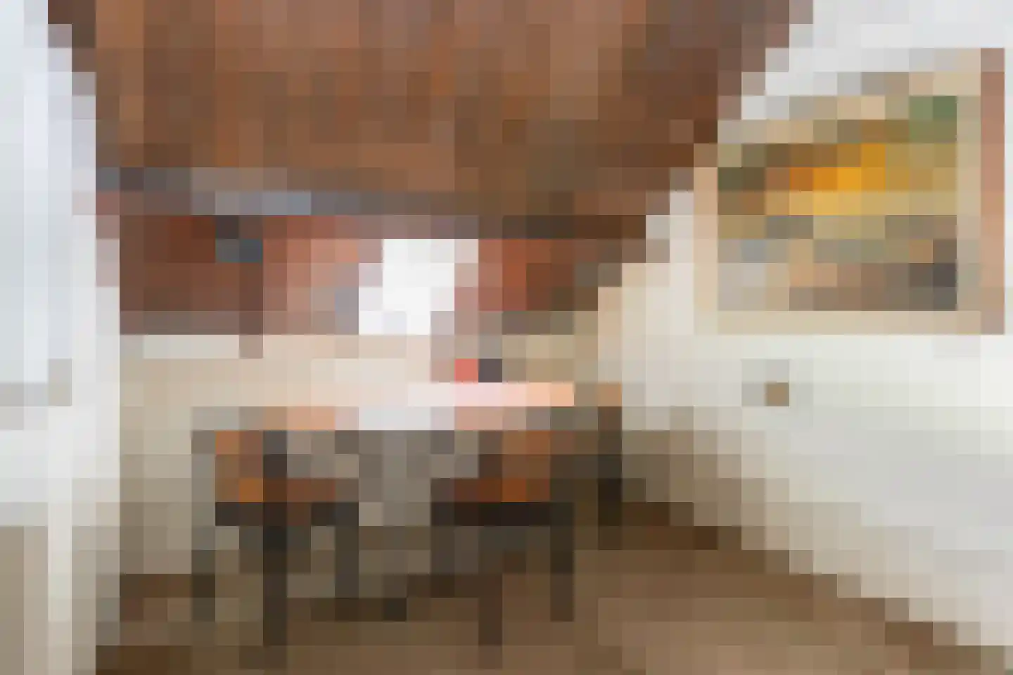 Onze Lieve Vrouwedijk 21 Waalre thumbnail 31