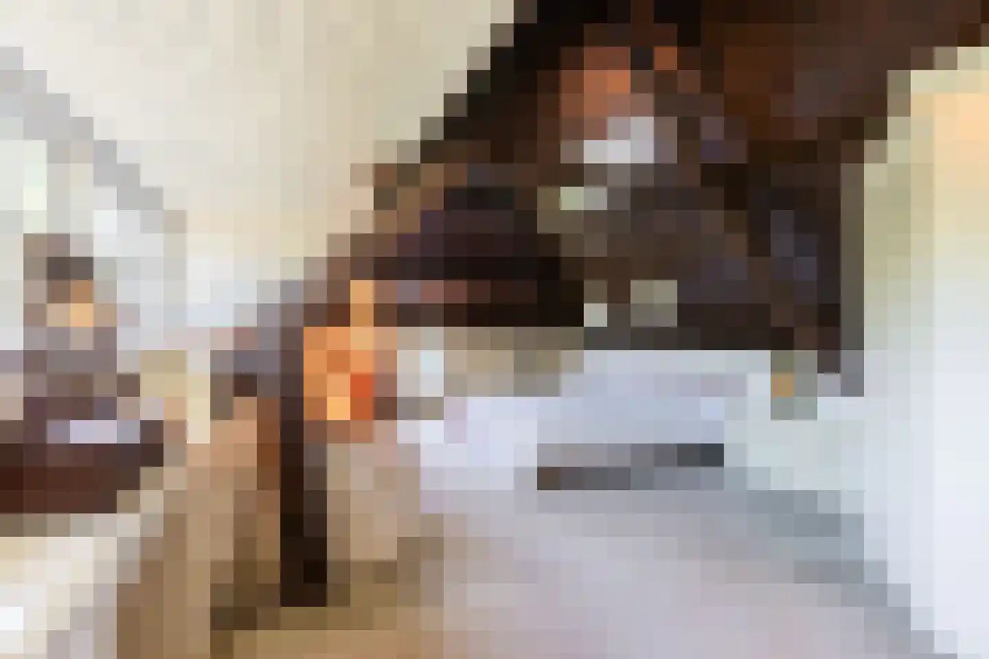 Onze Lieve Vrouwedijk 21 Waalre thumbnail 33