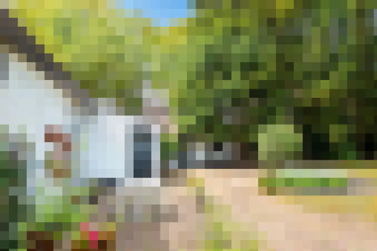 Onze Lieve Vrouwedijk 21 Waalre thumbnail 41