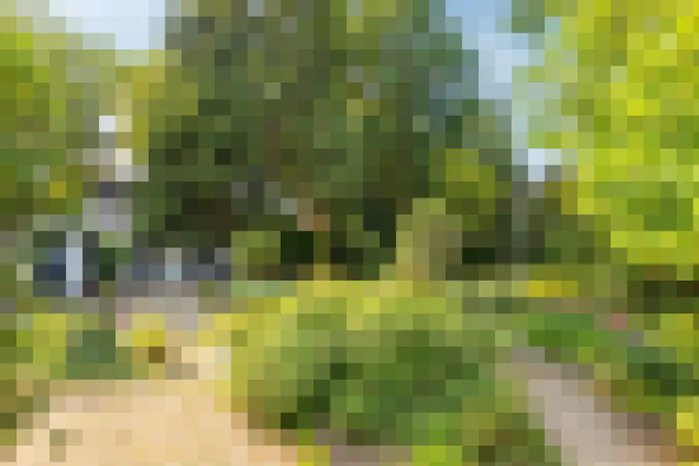 Onze Lieve Vrouwedijk 21 Waalre thumbnail 42