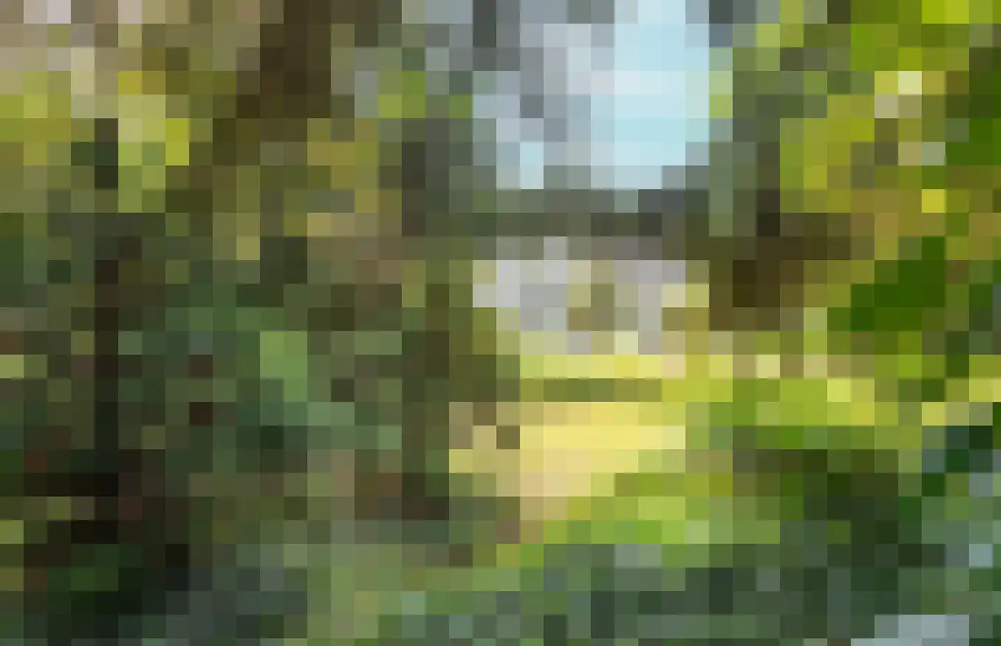Onze Lieve Vrouwedijk 21 Waalre thumbnail 43