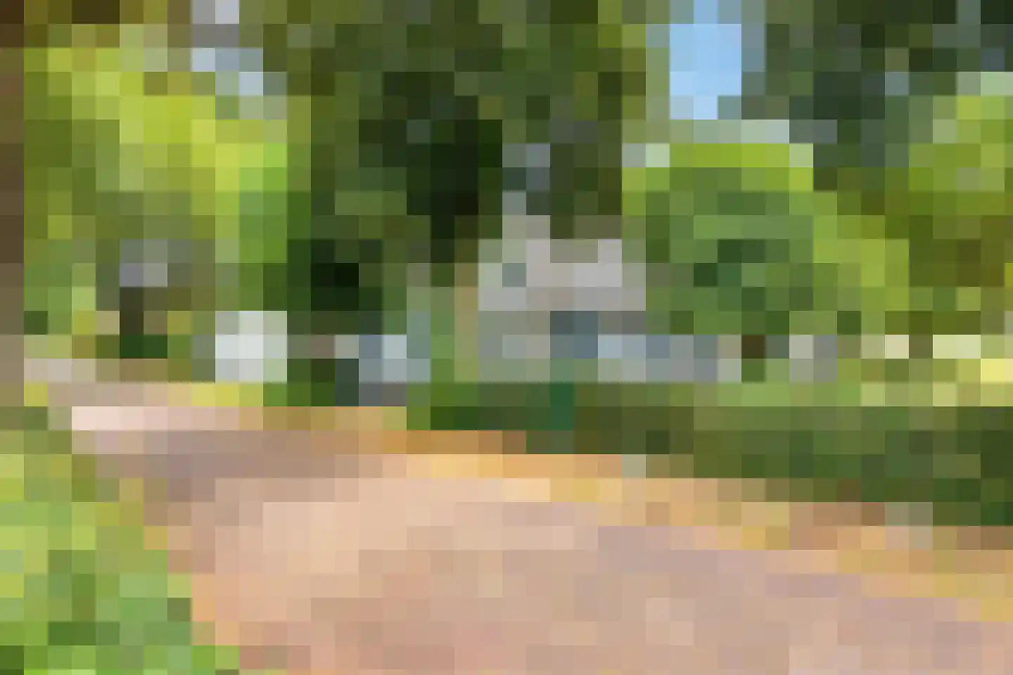 Onze Lieve Vrouwedijk 21 Waalre thumbnail 53