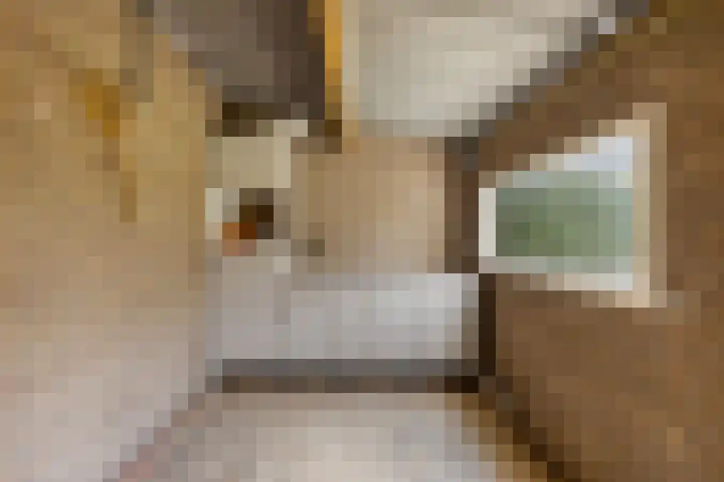 Onze Lieve Vrouwedijk 8 Waalre thumbnail 23